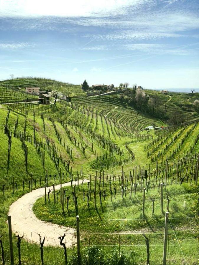 Apartmán Locazione Turistica Gravetta Tarzo Exteriér fotografie